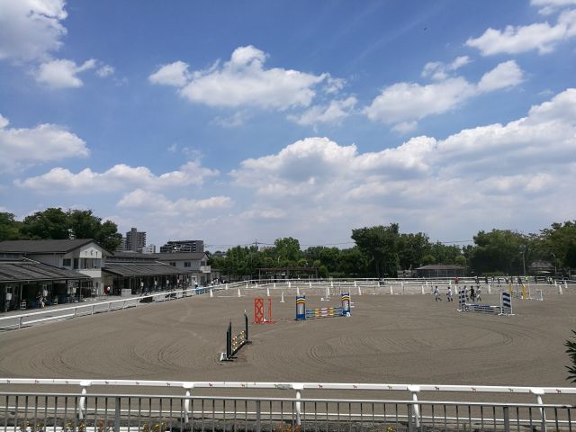 本日は いつもの鉄馬(カブ)ではなくて? 本日は いつもの鉄馬(カブ)ではなくて?