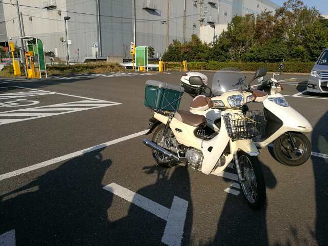 東扇島へGO! アジング 東扇島へGO! アジング