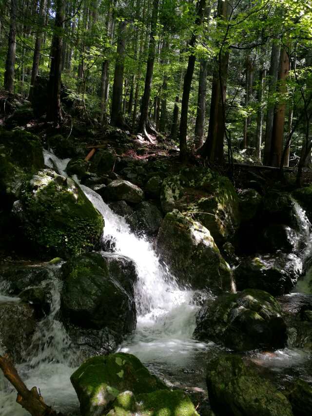 名栗川へGO! 増水の谷へ 名栗川へGO! 増水の谷へ