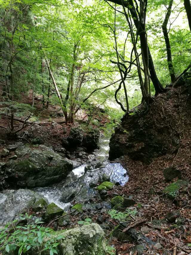名栗川へGO! 増水の谷へ 名栗川へGO! 増水の谷へ