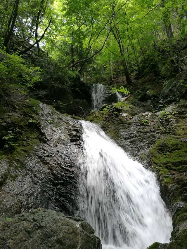 名栗川へGO! 増水の谷へ 名栗川へGO! 増水の谷へ