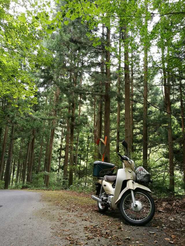 名栗川へGO! イワナのはずでしたが ツーリング? 名栗川へGO! イワナのはずでしたが ツーリング?