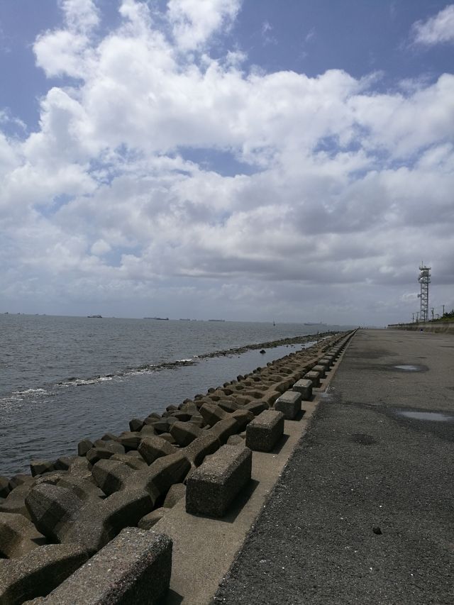 江戸川&浦安へGO! マテガイとタコ 江戸川&浦安へGO! マテガイとタコ
