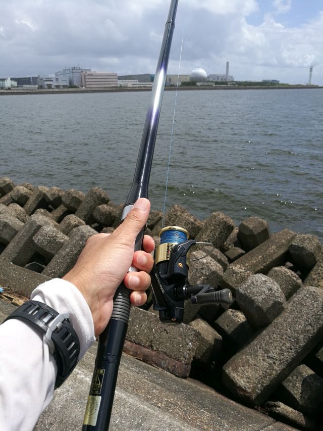 江戸川&浦安へGO! マテガイとタコ 江戸川&浦安へGO! マテガイとタコ