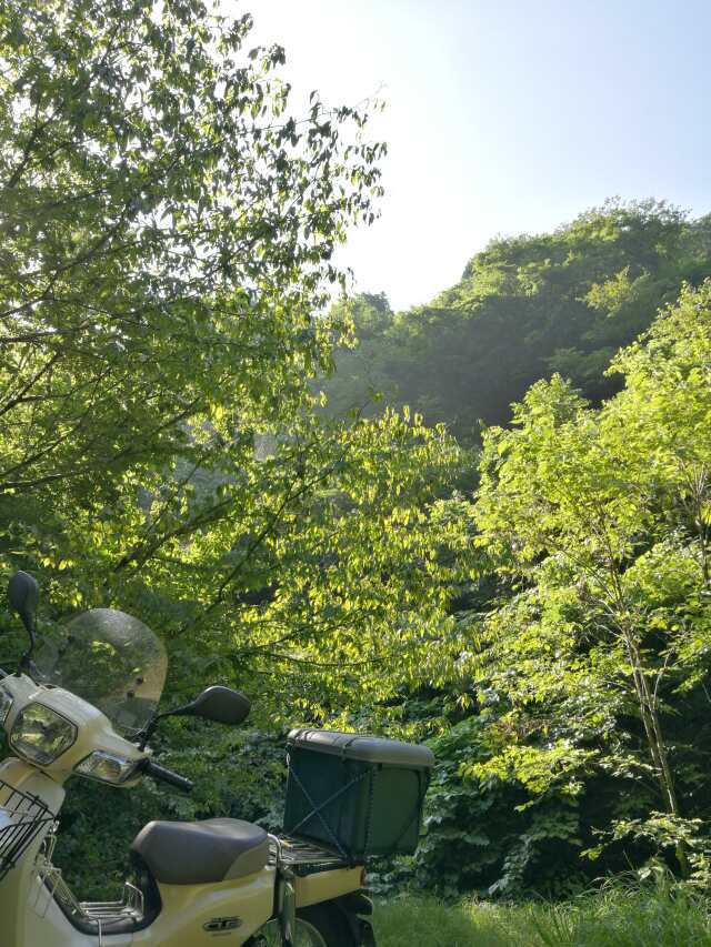 名栗川へGO! イワナの谷へ 名栗川へGO! イワナの谷へ