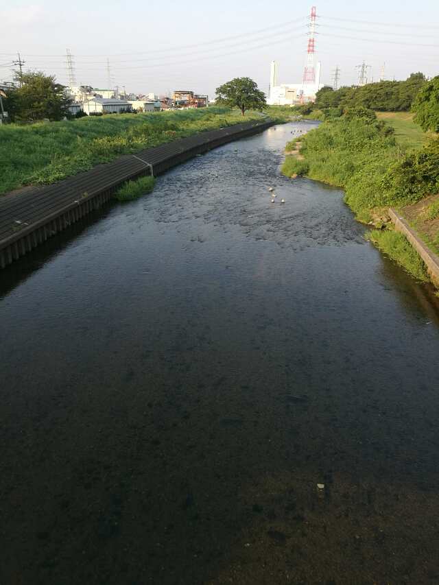 名栗川へGO! イワナの谷へ 名栗川へGO! イワナの谷へ
