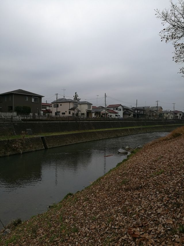 柳瀬川へGO! 柳瀬川へGO!