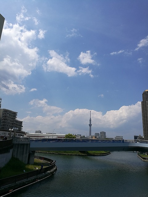 浦安へGO! タコは? 浦安へGO! タコは?