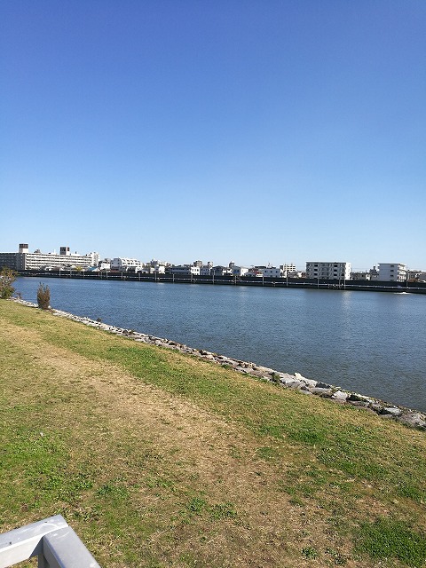 旧江戸川へGO! ランガン 旧江戸川へGO! ランガン