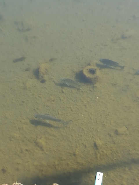 カブで散策! カブで散策!