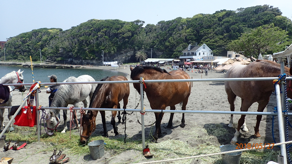 2つの海が出会う場所〜戦国の浜へ〜 2つの海が出会う場所〜戦国の浜へ〜