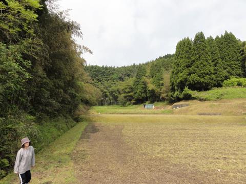 帰ってきた田んぼあそび