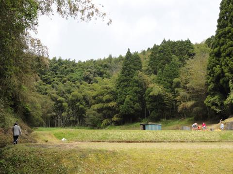 帰ってきた田んぼあそび
