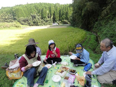 H23年(2011年)稲刈りのお手伝い