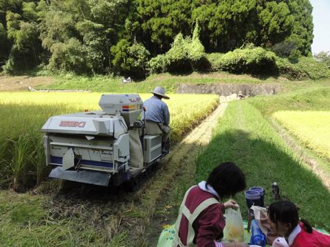 (続)H23年(2011年)稲刈りのお手伝い