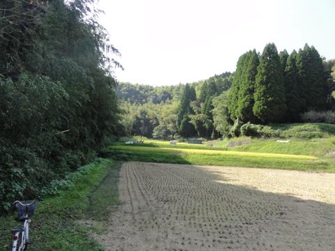 (続)H23年(2011年)稲刈りのお手伝い