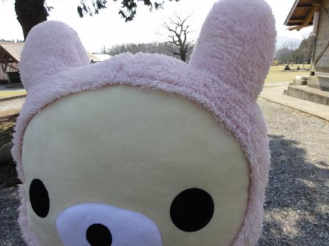 歌瀬キャンプ場にかぶり物劇場が出没!