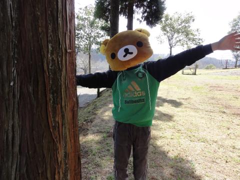 歌瀬キャンプ場にかぶり物劇場が出没!