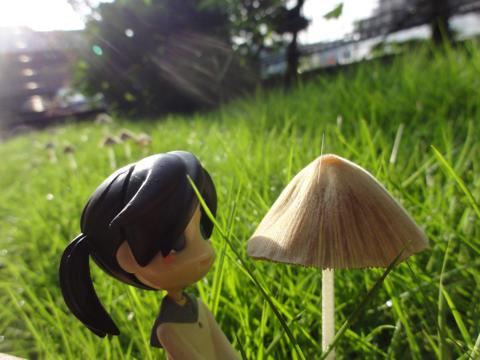 ピンキーの大冒険!