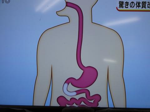 食べる順番を変えるだけ ダイエットにもなる体質改善法