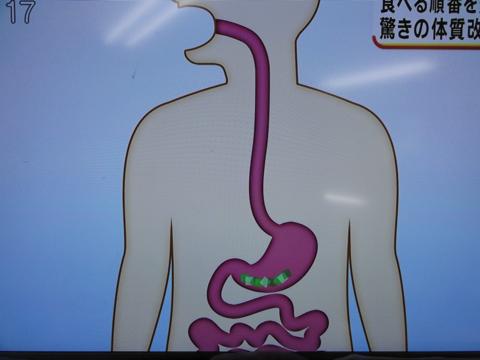 食べる順番を変えるだけ ダイエットにもなる体質改善法