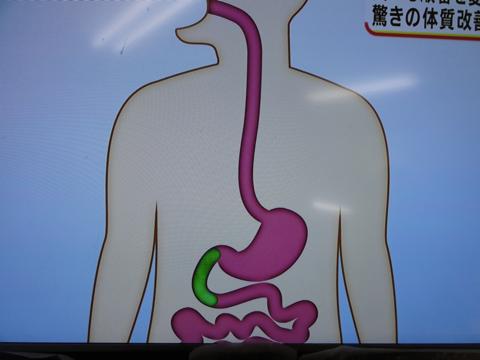 食べる順番を変えるだけ ダイエットにもなる体質改善法