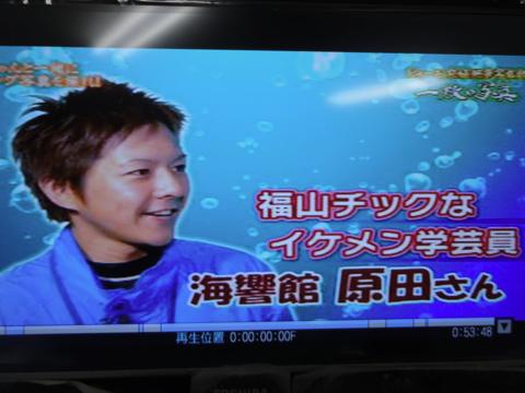イルカの横バブルリングにチャレンジしてみた