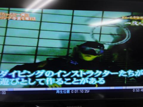 イルカの横バブルリングにチャレンジしてみた
