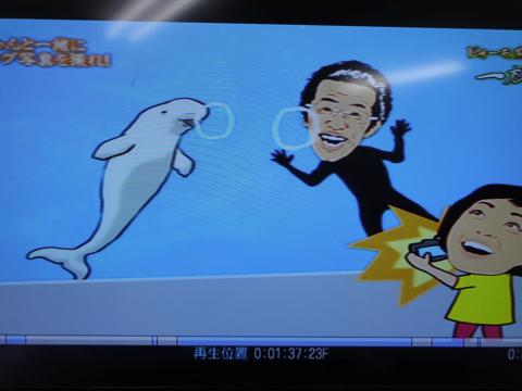 イルカの横バブルリングにチャレンジしてみた