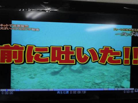 イルカの横バブルリングにチャレンジしてみた