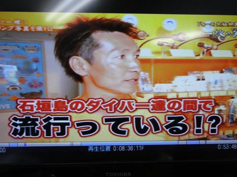 イルカの横バブルリングにチャレンジしてみた