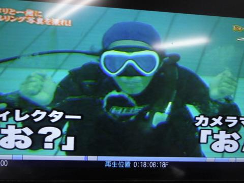 イルカの横バブルリングにチャレンジしてみた