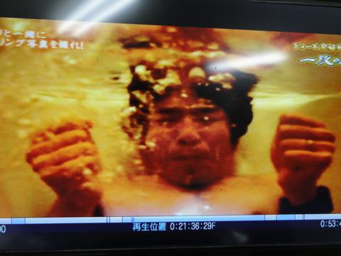 イルカの横バブルリングにチャレンジしてみた