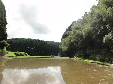 H25年の田植え