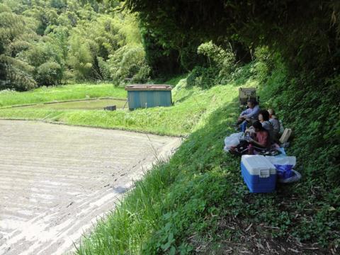 H25年の田植え