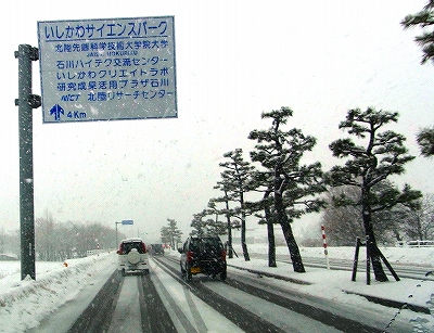 雪に負けています