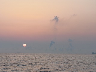 ベイトはイカナゴ