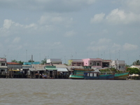 ベトナム　ホーチミン　サイゴン川釣り　メコン川釣り