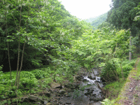 ホームリバーも梅雨です