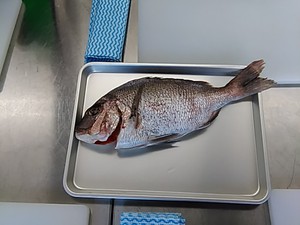 SABAKERU SABAKERU