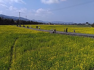 休日のひとコマ 休日のひとコマ