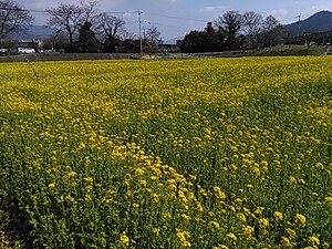 休日のひとコマ 休日のひとコマ