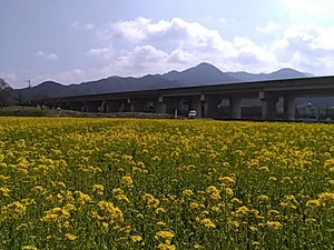 休日のひとコマ 休日のひとコマ