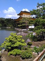 正解? 不正解? 正解? 不正解?
