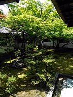 正解? 不正解? 正解? 不正解?