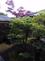 正解? 不正解? 正解? 不正解?