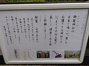 正解? 不正解? 正解? 不正解?