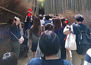 正解? 不正解? 正解? 不正解?
