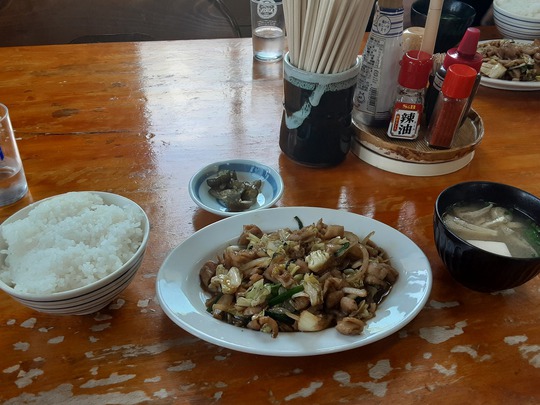 休日『特上ホルモン焼肉定食』日記