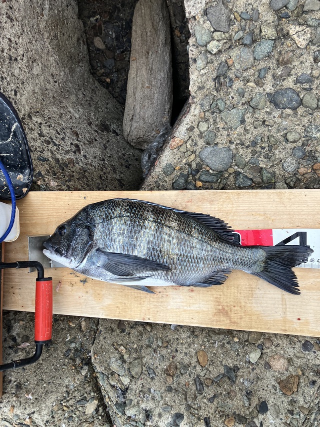 やっと本腰入れて活動開始‼️ やっと本腰入れて活動開始‼️